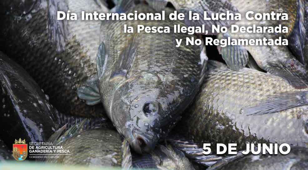 Día internacional de la lucha contra la pesca ilegal MonitorSur